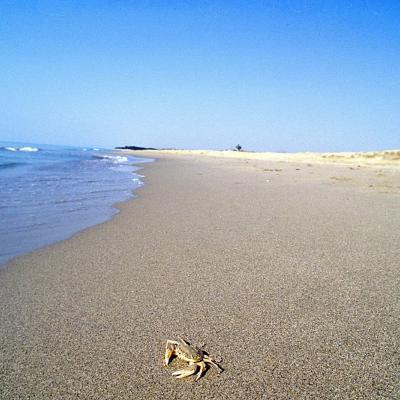 173465090 1064441887299276 6943045204963167258 N