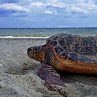 175841818 1067917243618407 676103501209365844 N